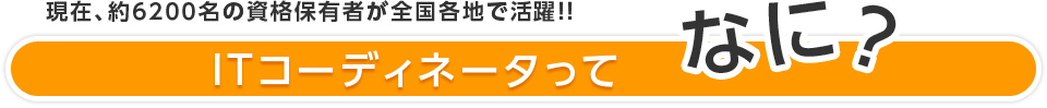 ITコーディネータってなに？