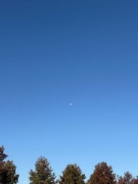 20241120_11.jpg